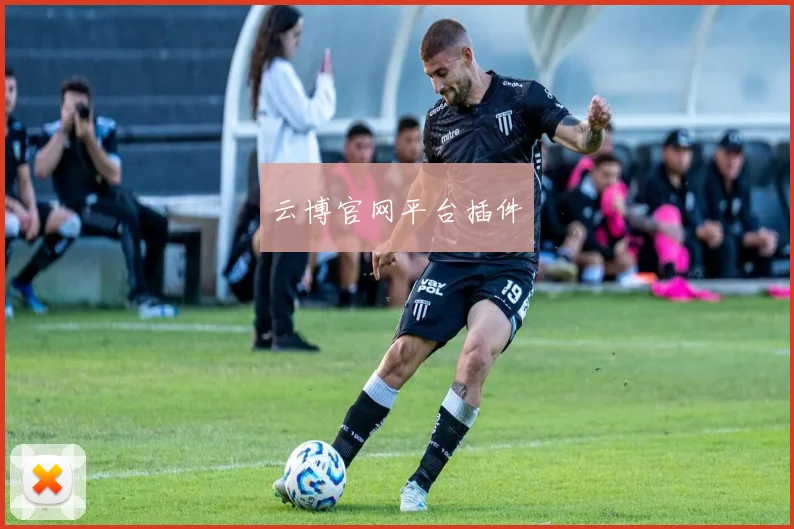 云博官网平台插件
