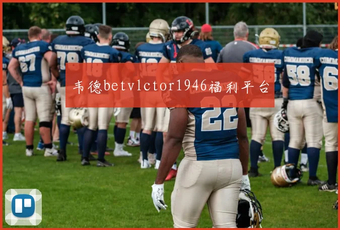 韦德betvlctor1946福利平台