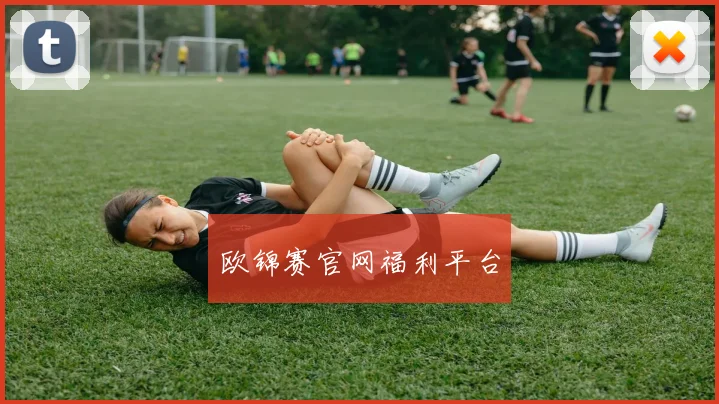 欧锦赛官网福利平台