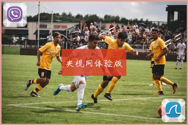 央视网体验版