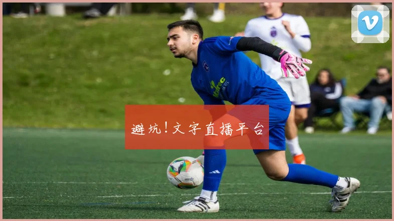 避坑!文字直播平台