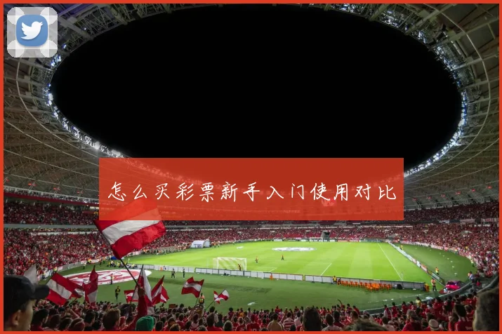 怎么买彩票新手入门使用对比