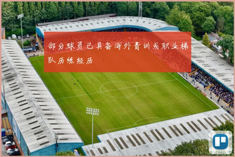 部分球员已具备海外青训或职业梯队历练经历