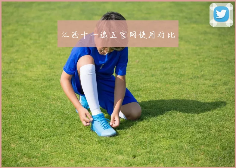 江西十一选五官网使用对比