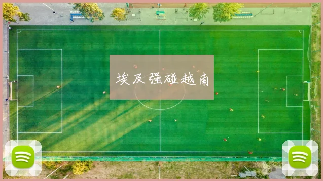 埃及强碰越南
