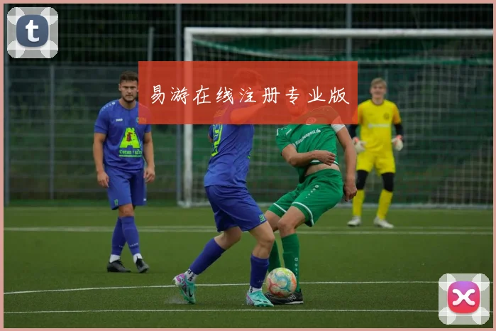 易游在线注册专业版