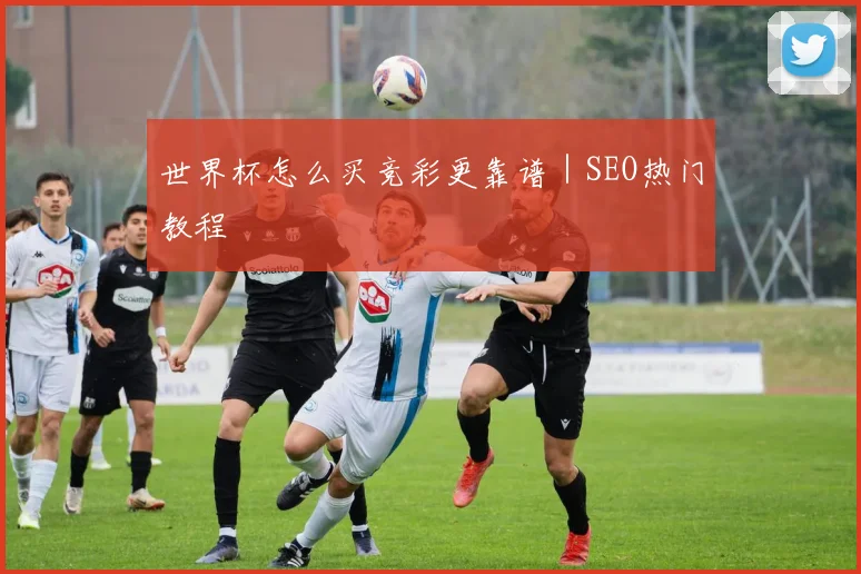 世界杯怎么买竞彩更靠谱|SEO热门教程