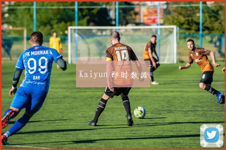 Kaiyun 即时数据