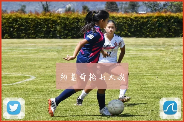 约基奇抢七大战