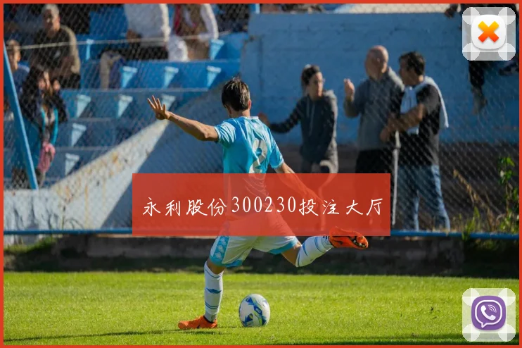 永利股份300230投注大厅