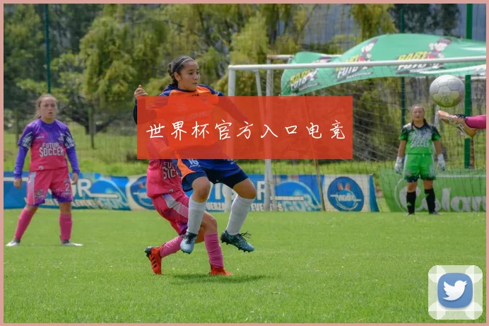 世界杯官方入口电竞