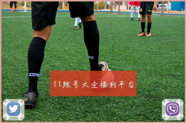tt账号大全福利平台