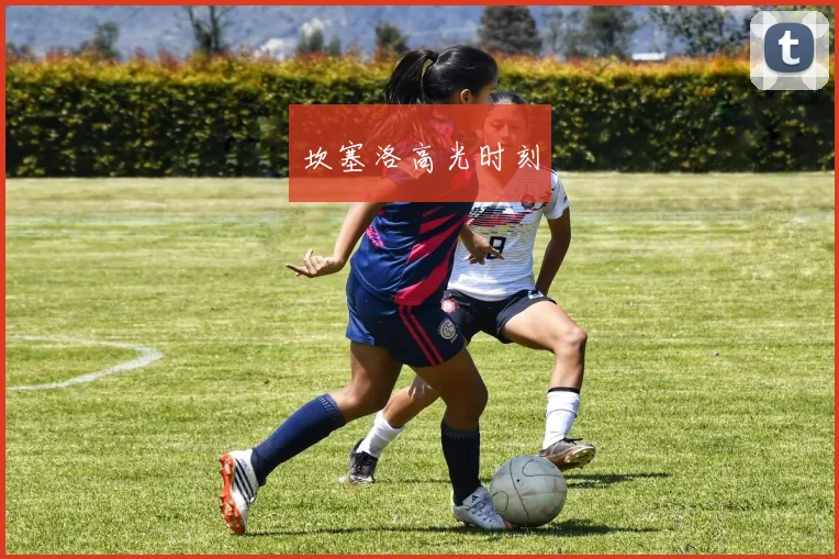 坎塞洛高光时刻