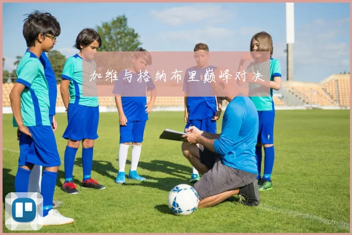 加维与格纳布里巅峰对决