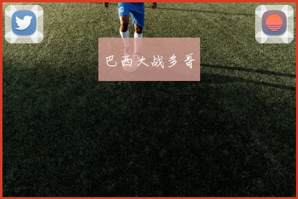 巴西大战多哥