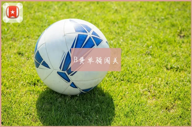 B费单骑闯关