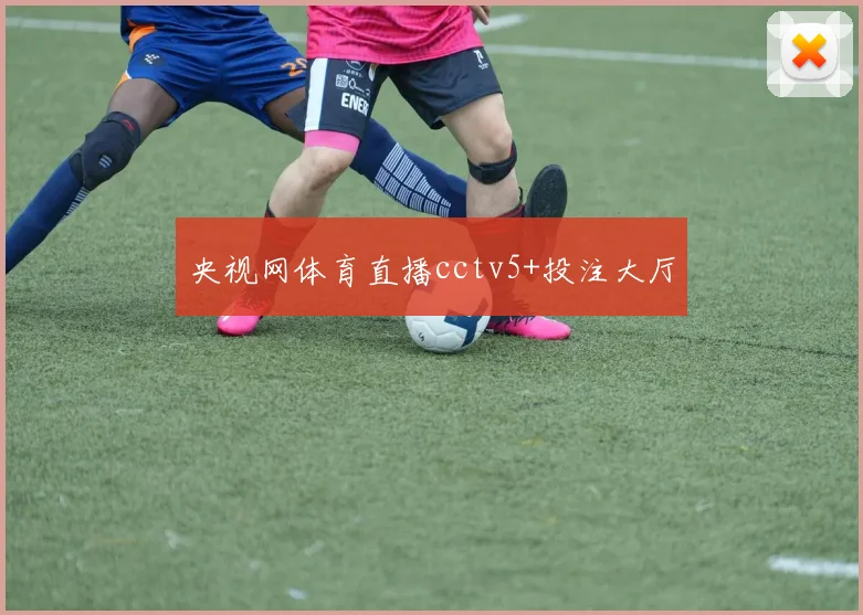 央视网体育直播cctv5+投注大厅