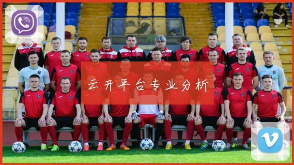 云开平台专业分析