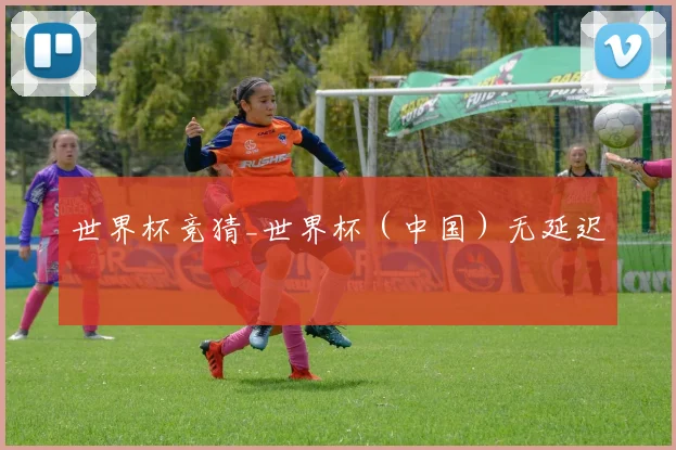世界杯竞猜_世界杯（中国）无延迟