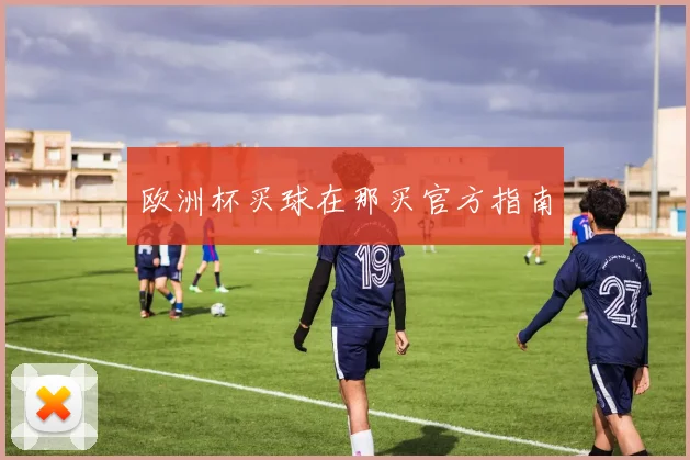 欧洲杯买球在那买官方指南