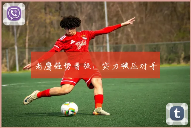 老鹰强势晋级，实力碾压对手