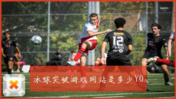 冰球突破游戏网站是多少YO