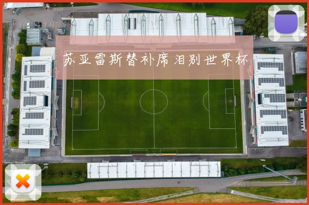 苏亚雷斯替补席泪别世界杯