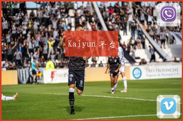 Kaiyun 平台