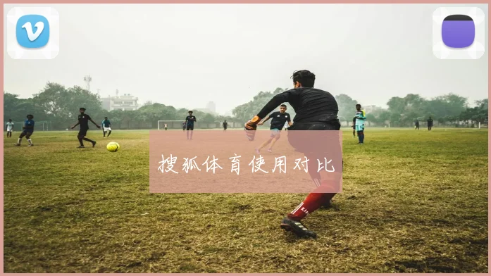 搜狐体育使用对比
