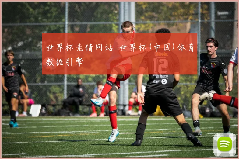 世界杯竞猜网站_世界杯(中国)体育数据引擎