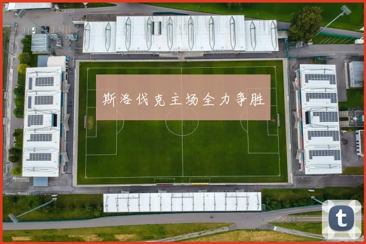斯洛伐克主场全力争胜