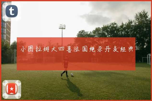 小图拉姆大四喜法国绝杀丹麦经典