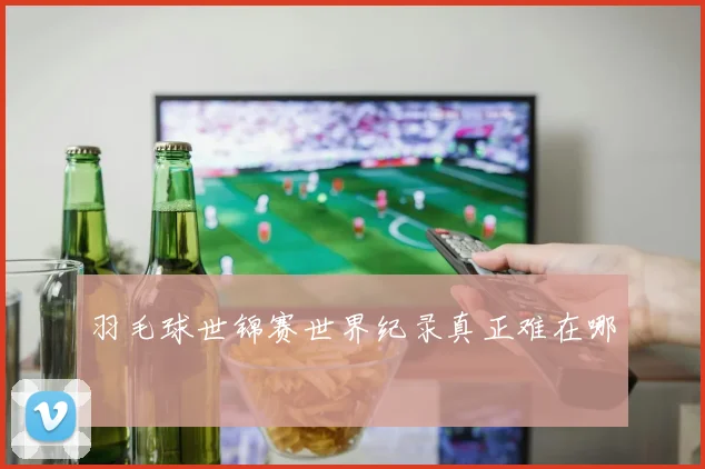 羽毛球世锦赛世界纪录真正难在哪