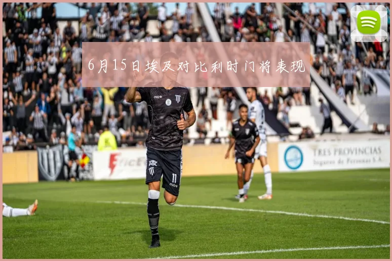 6月15日埃及对比利时门将表现