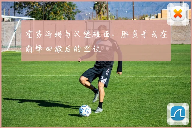 霍芬海姆与汉堡碰面，胜负手或在前锋回撤后的空位