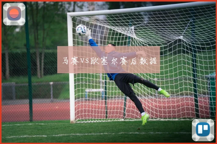 马赛vs欧塞尔赛后数据