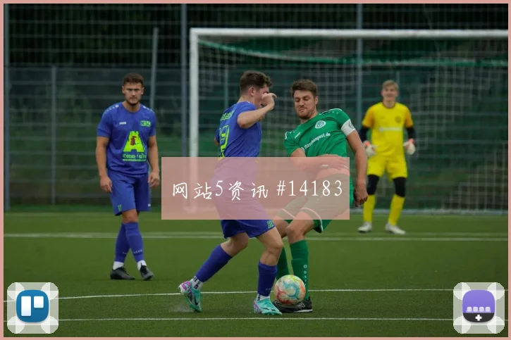 拉莱努尼面对瑞典防线能否制造点球机会反击核心参考