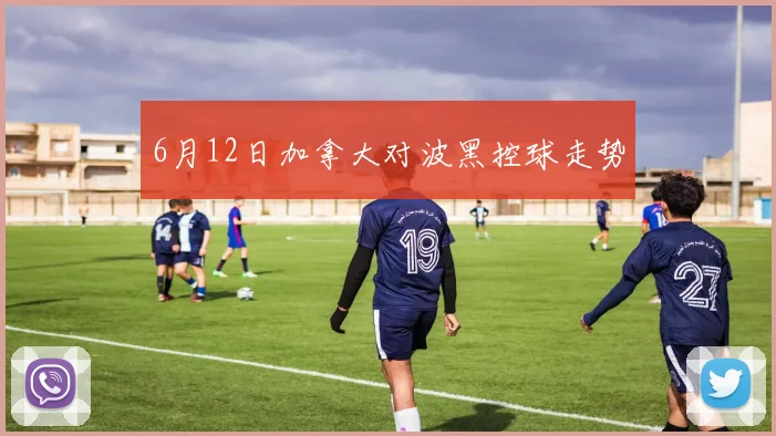 6月12日加拿大对波黑控球走势