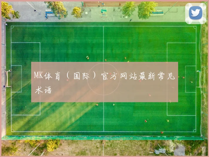 MK体育（国际）官方网站最新常见术语